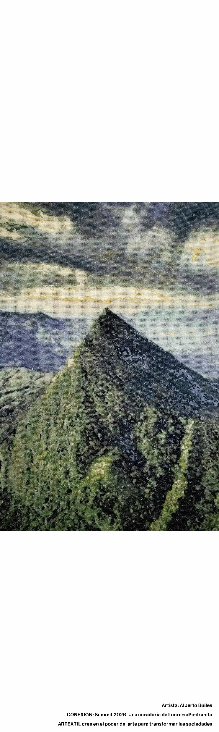 Ficha visual de la obra presentada por Alberto Builes, técnica indicada: Tejido.