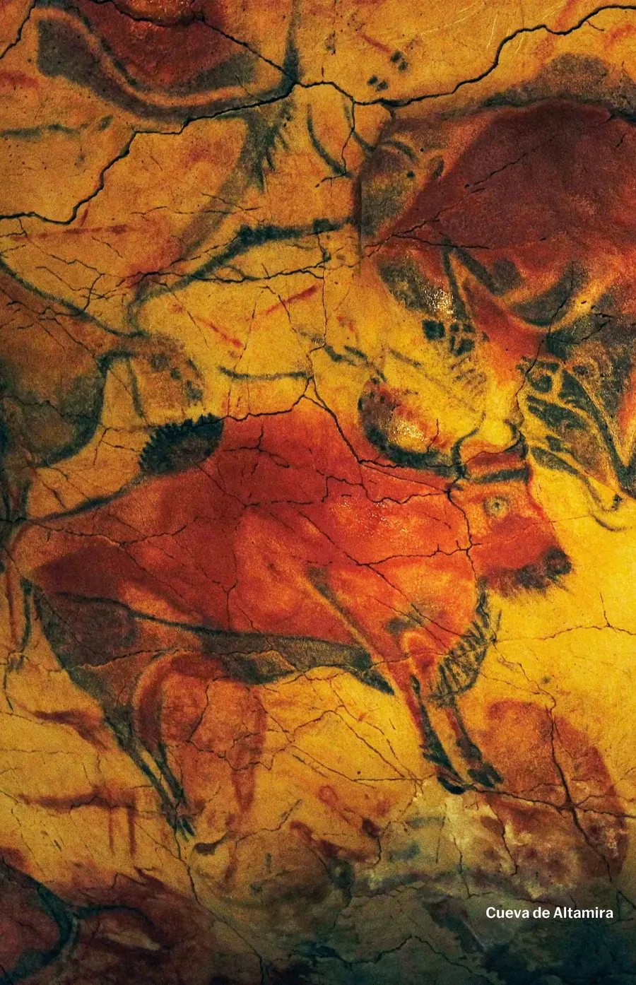 Ficha visual de la obra textil adicional atribuida a Cueva de Altamira.