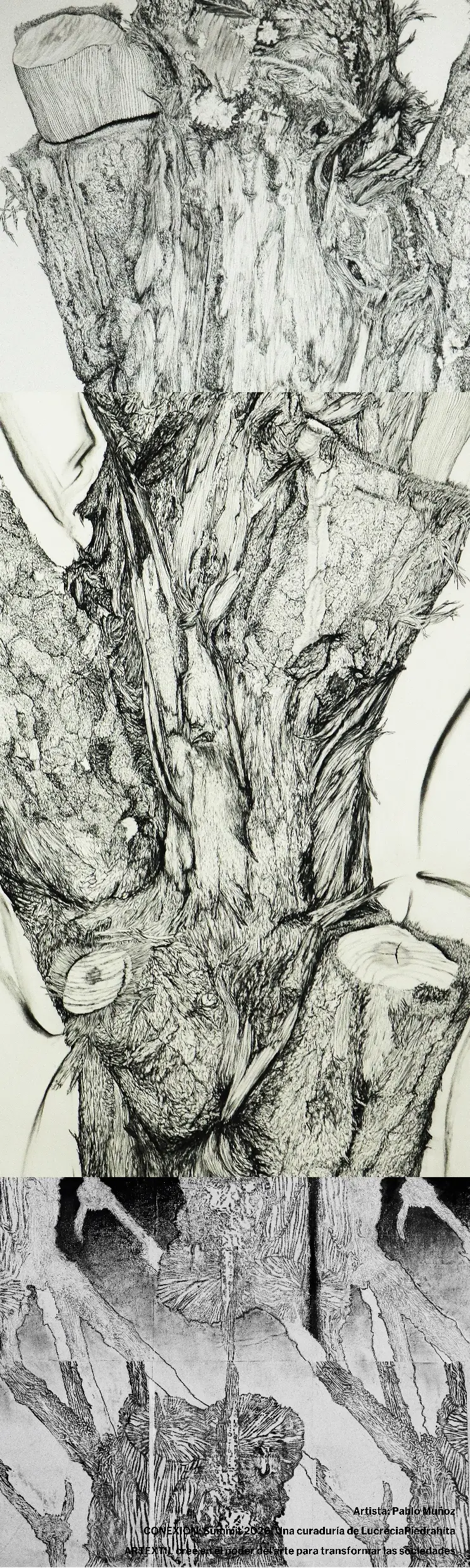 Ficha visual de la obra presentada por Pablo Muñoz, técnica indicada: Dibujo.