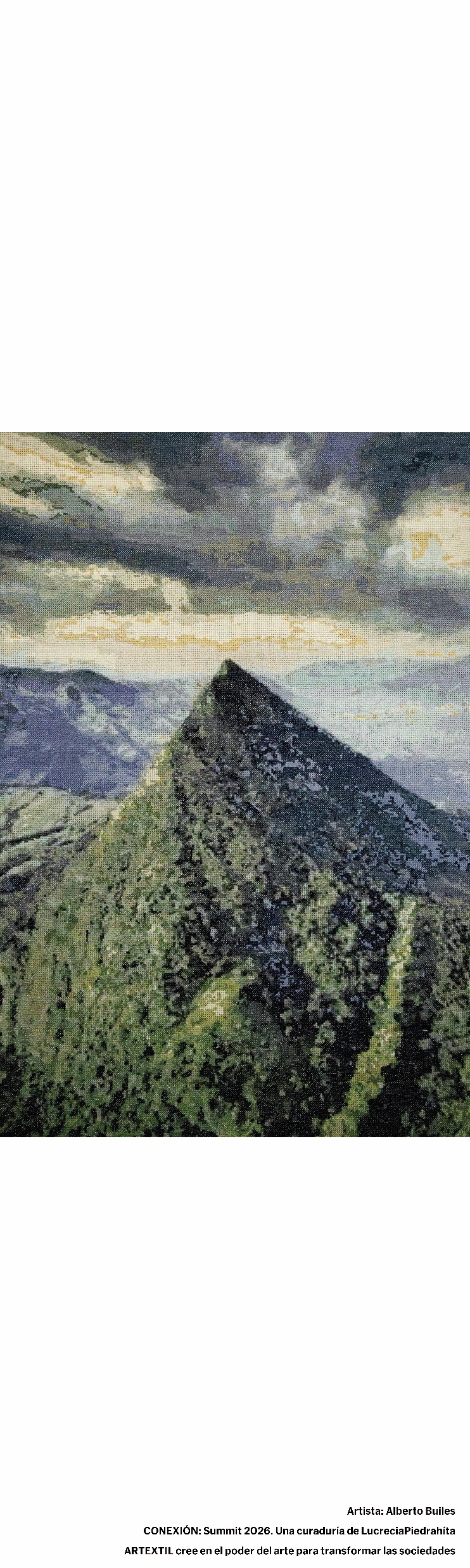 Ficha visual de la obra presentada por Alberto Builes, técnica indicada: Tejido.