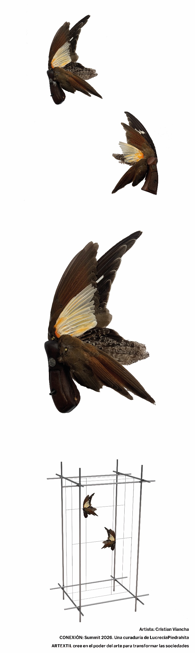 Ficha visual de la obra presentada por Cristian Viancha, técnica indicada: Taxidermia (Instalación).