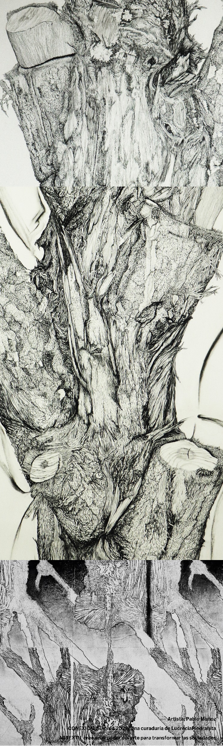 Ficha visual de la obra presentada por Pablo Muñoz, técnica indicada: Dibujo.